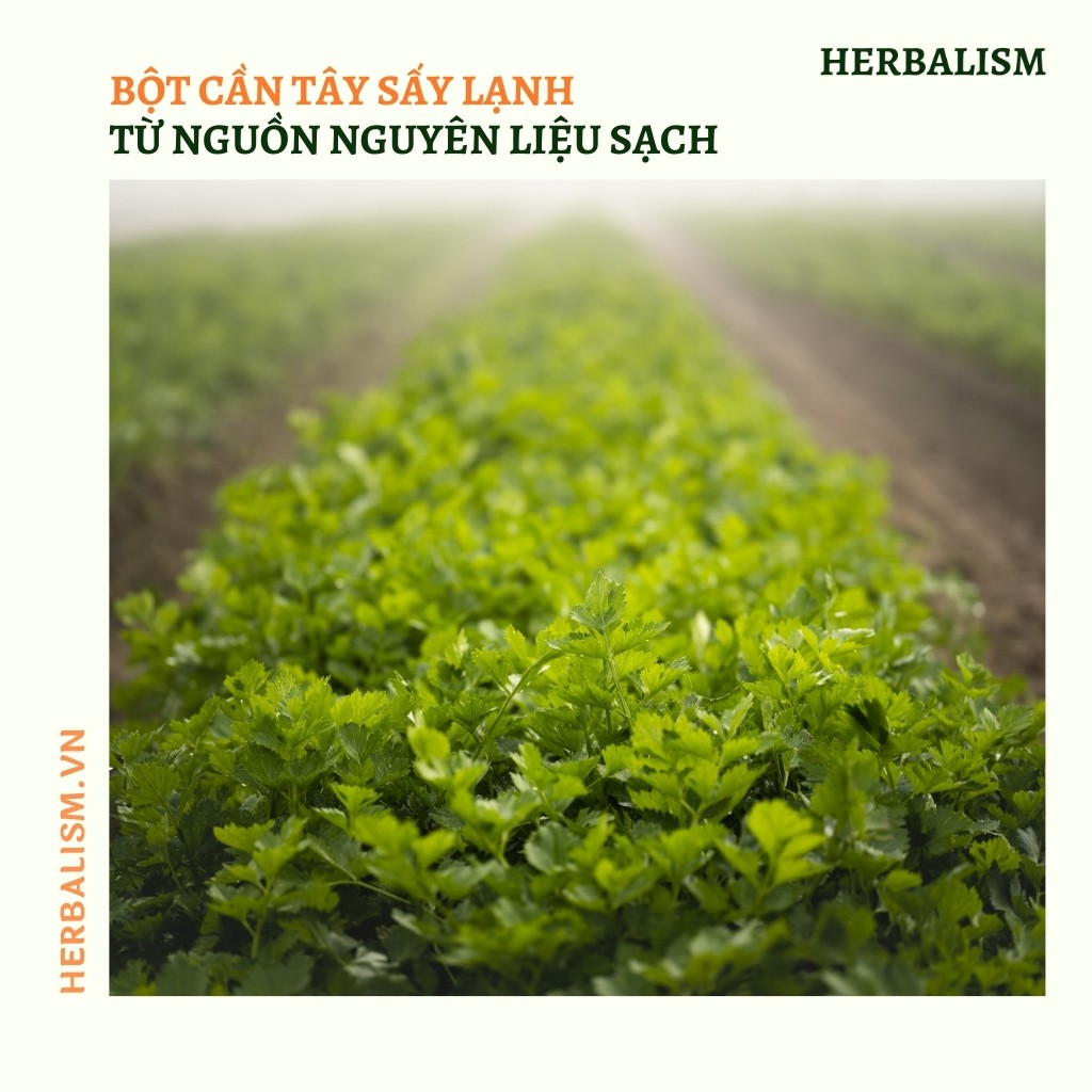 [HÀNG CAO CẤP] Bột Cần Tây Hữu Cơ Giảm cân Sấy Lạnh Nguyên Chất Herbalism | Nước ép cần tây detox, giảm mỡ trong 5 giây