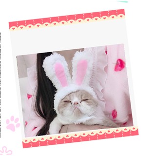 Nón bờm tai thỏ cute cho chó mèo