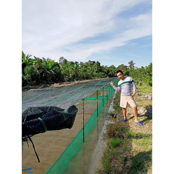 Tráng, vèo , lồng nuôi ốc nhồi , ếch , cá 6x3x1 ( 5li )