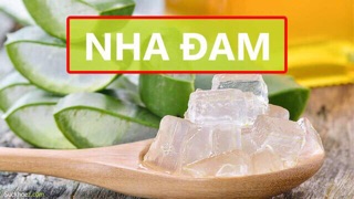 Thạch Nha Đam gói 1kg chuẩn