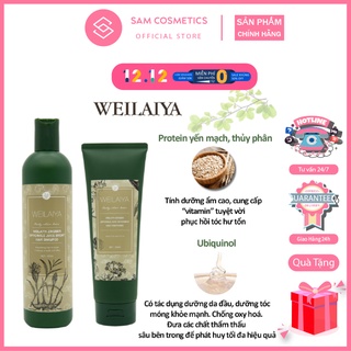 Dầu gội gừng xanh hà thủ ô weilaiya, ngăn rụng tóc, kích mọc tóc 400ml