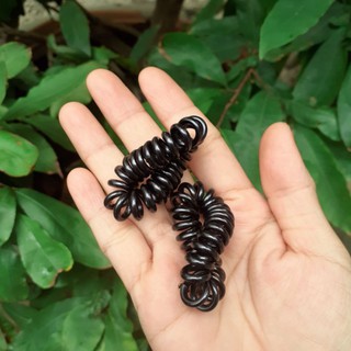 Sỉ 50 dây lò xo cột tóc màu đen (bản trung 2-3cm)