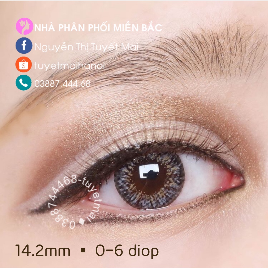 Kính Áp Tròng Màu Xám Nổi Bật Siêu Êm Siêu Mềm Sophie Gray 14mm 0 Độ - Lens Hàn Quốc Chính Hãng Vassen Sexy Me