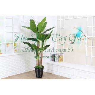 Cây Giả - Bụi Cây Chuối Cảnh 3 Cây