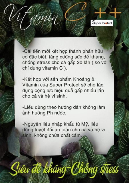 Vitamin C++ Super Protect chuyên dùng cho cá Koi, cá Vàng, cá Rồng - Hũ 300gr