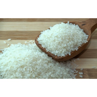 [1kg/ 5kg] Gạo tấm thơm - mềm dẻo, hạt nhỏ, thơm ngon, phù hợp nấu cơm tấm & cháo