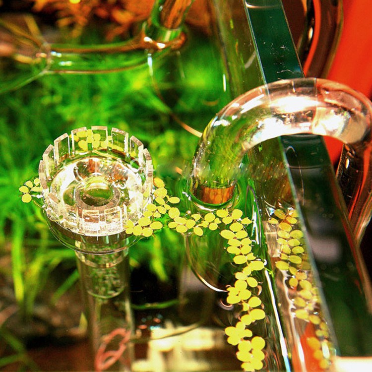 BỘ IN OUT THUỶ TINH F16 CÓ LỌC VÁNG