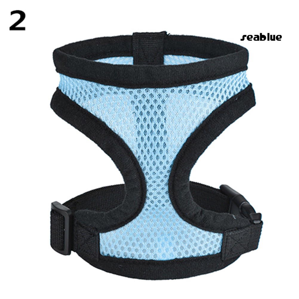 Dây Đeo An Toàn Cho Thú Cưng