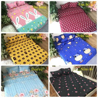 Bộ ga gối poly cotton m6/m8 ( được chọn mẫu)
