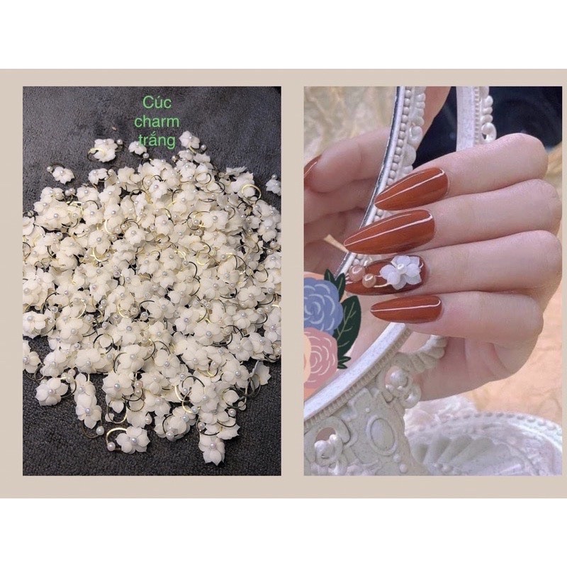 Hoa cúc cham trắng-hoa cúc gắn móng nail
