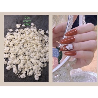 Hoa cúc cham trắng-hoa cúc gắn móng nail