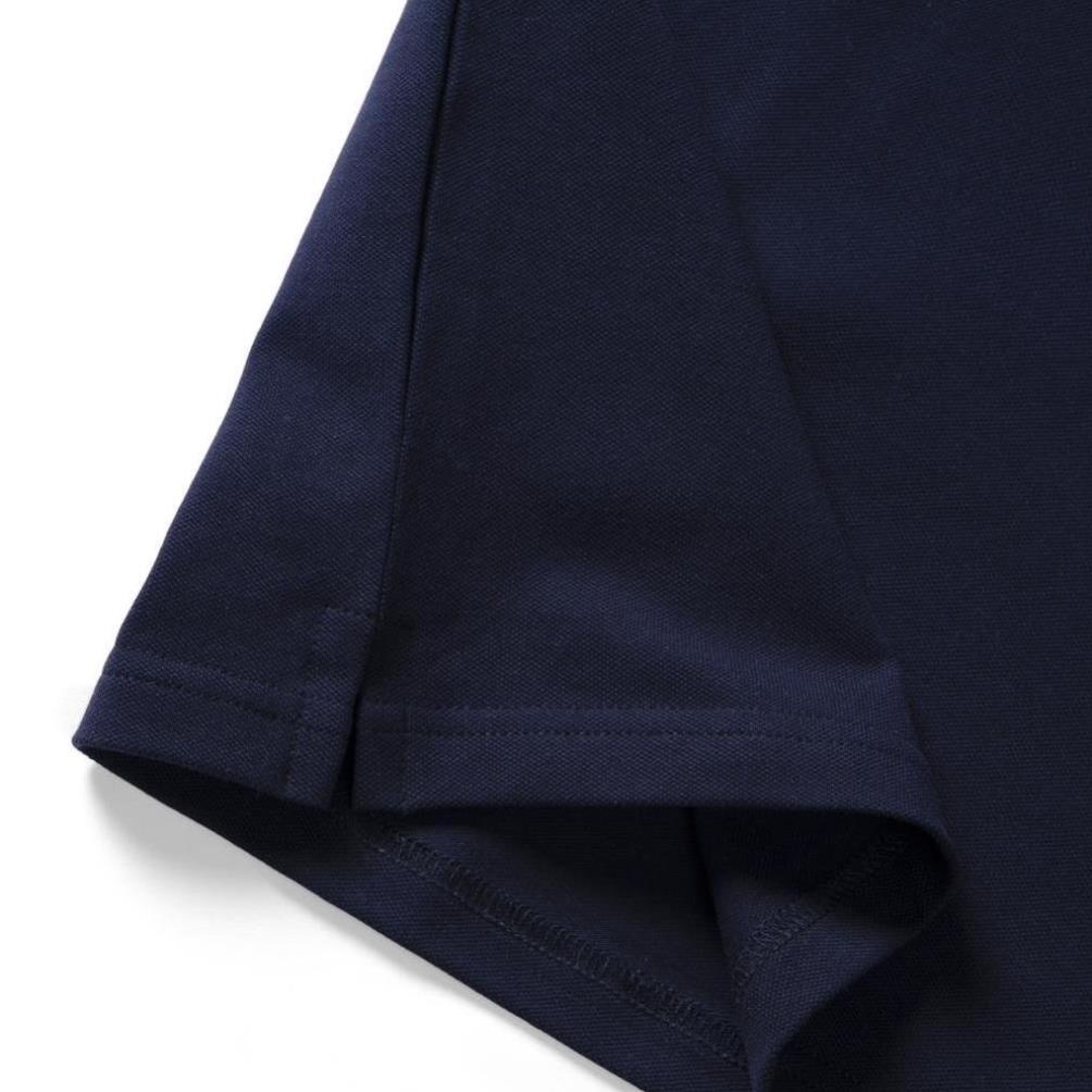 Áo thun Polo nam phối sọc BASIS, cotton cá sấu 100% cao cấp, Basis APL213 New ! 🎵 ,