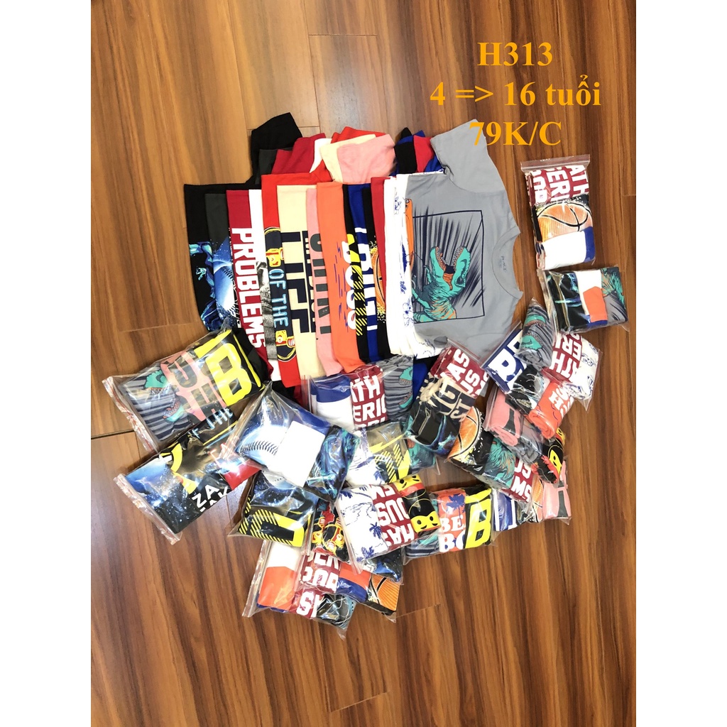 * Mã H313:  Áo bé trai cotton hàng VNXK dư xịn. Chất cotton mềm, thấm hút mồ hôi BC 9373