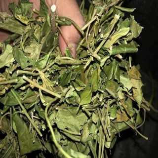 Dây thìa canh (1kg khô)