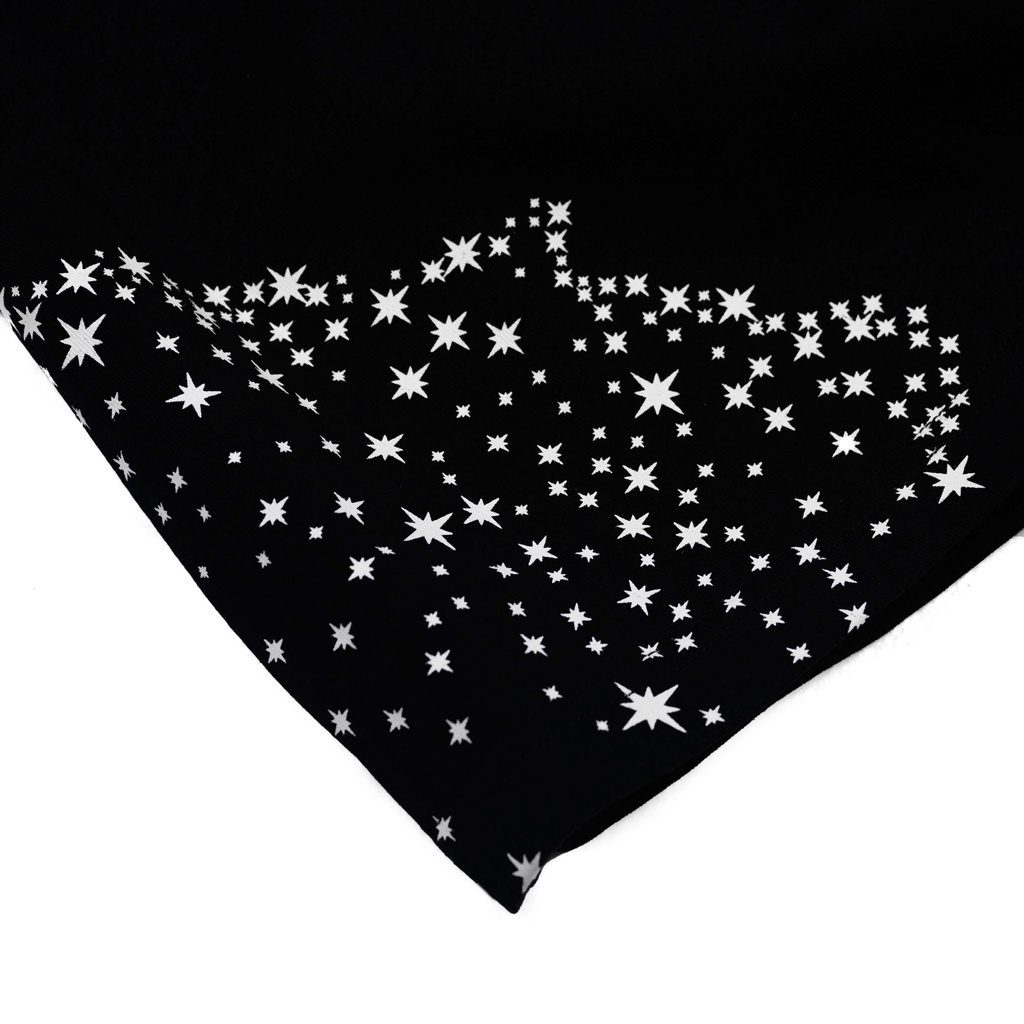 Áo thun Stargazer - Falling Star T-shirt