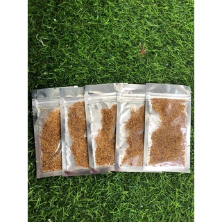 Hạt giống thủy sinh Cỏ tình yêu (Hàng Công Ty)