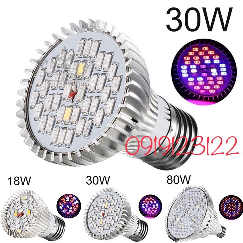 Đèn LED trồng cây, dèn led trồng rau tron nhà ( 30W E27)