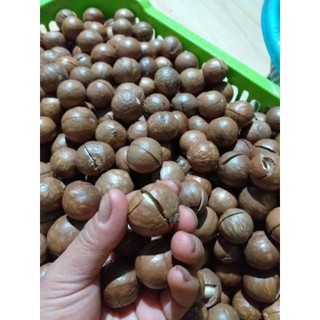 [Hàng cao cấp]# Hạt Măc ca sấy nứt Đăk Lăk Loai 1kg