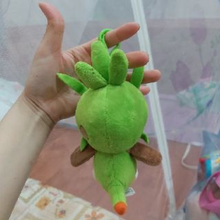 Gấu. Chị nga