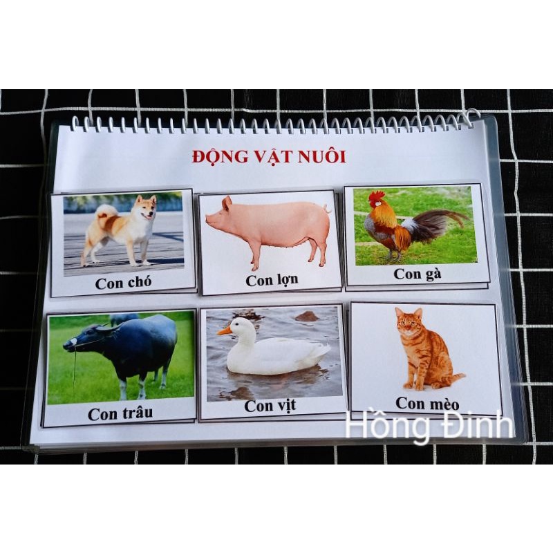 Học liệu 17 trang chọn lọc