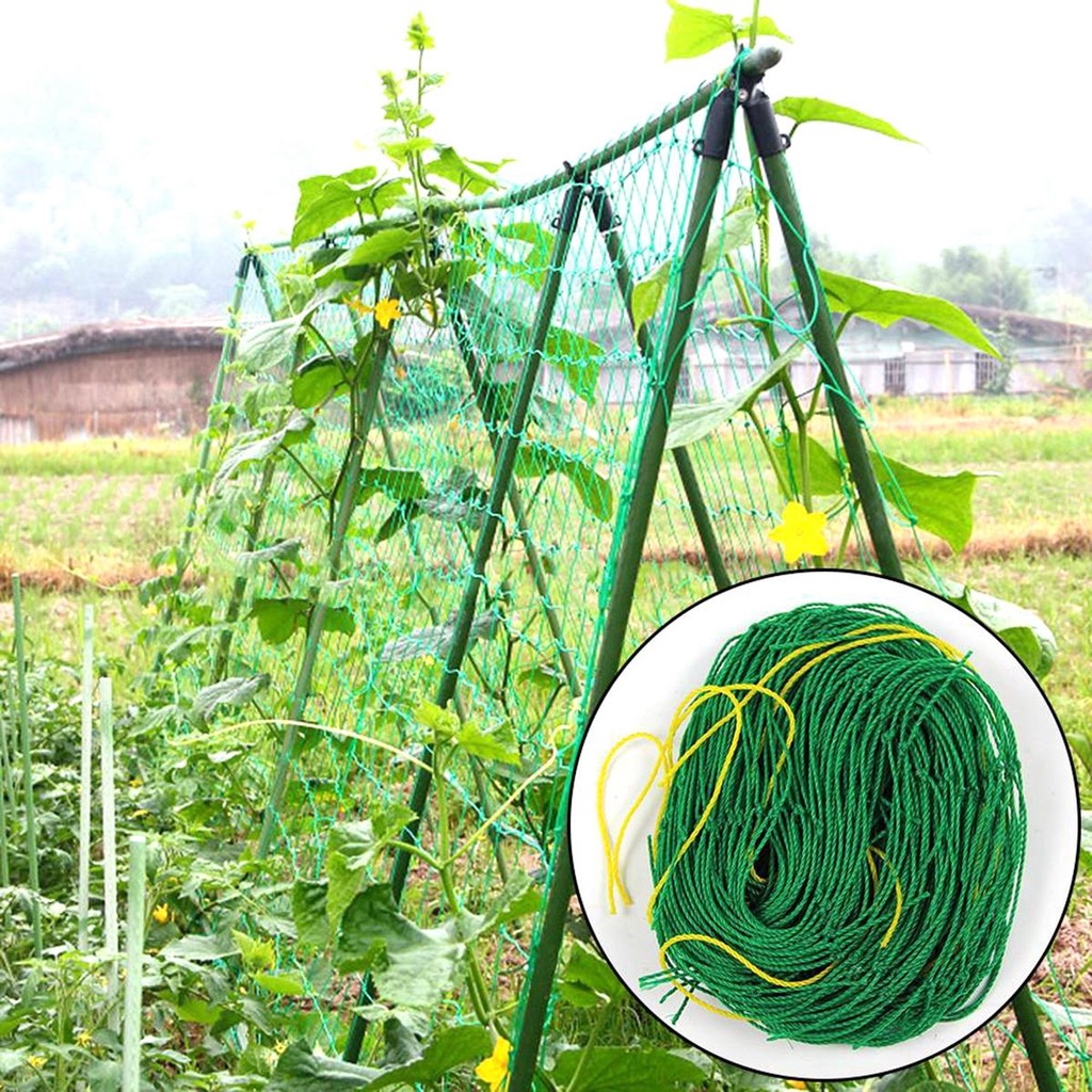 Lưới Trồng Cây Thân Leo Dưa Leo Tiện Dụng Cho Sân Vườn