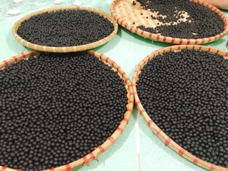 Combo Hà thủ ô