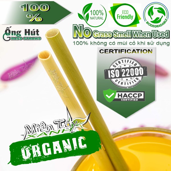Hộp 25 ống hút cỏ bàng XUẤT KHẨU USA   MIỀN TÂY XANH - Chứng nhận FDA - ISO 22000-HACCP-OCOP