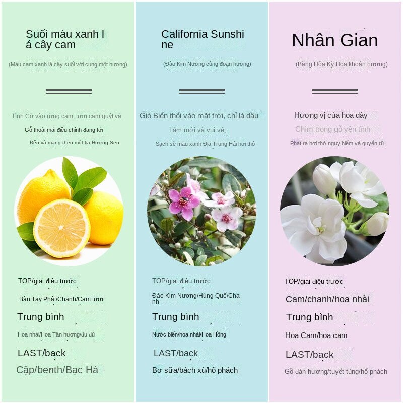 Kem dưỡng da tay ROOPY Dưỡng ẩm Giữ ẩm không nhờn Làm trắng và sảng khoái Kem bôi tay
