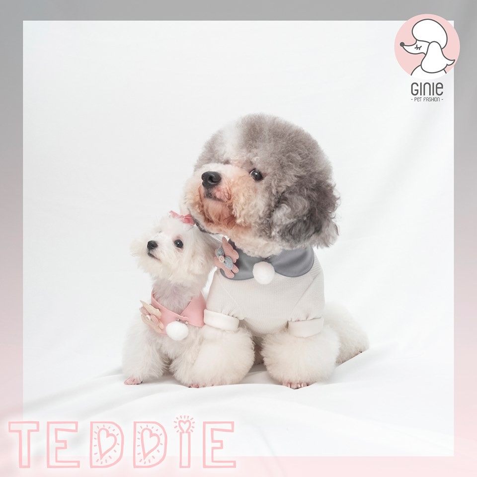 Yếm Teddy - cho thú cưng