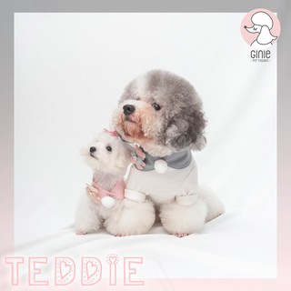 Yếm Teddy - cho thú cưng