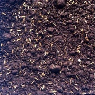 1 kg Đất Trồng Cây Hữu Cơ