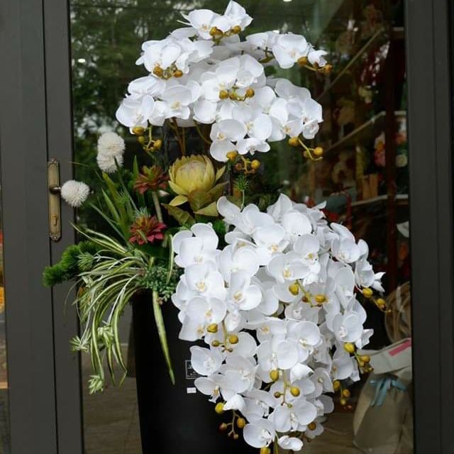 Hoa giả, cành hoa lan hồ điệp cao su 7 - 9 bông cỡ lớn trang trí sang trọng HD-79