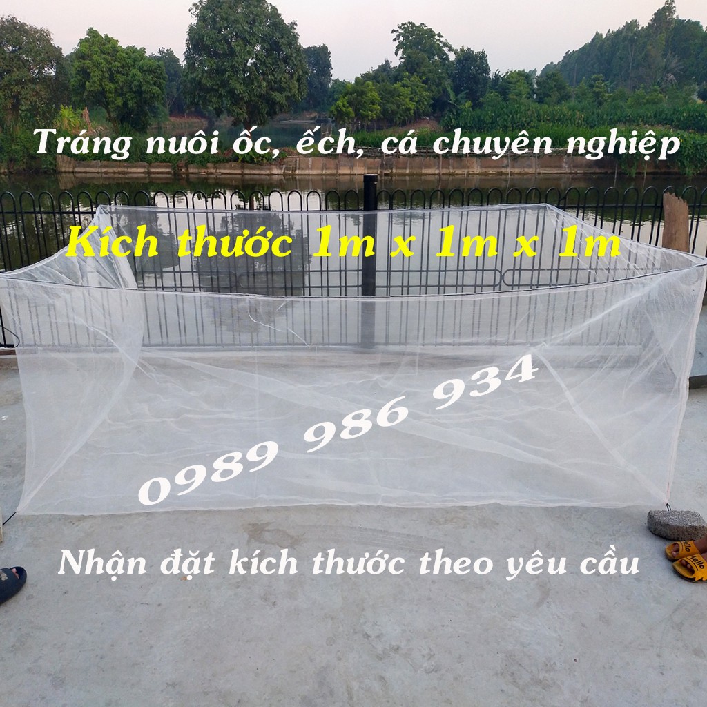 Lưới nuôi ốc nhồi chuyên nghiệp kích thước 4m x 2m x 1,4m công nghệ Thái
