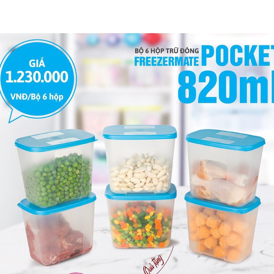 Bộ 6 Hộp tủ đông Pocket Freezermate 820ml