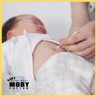 Bông tăm Moby