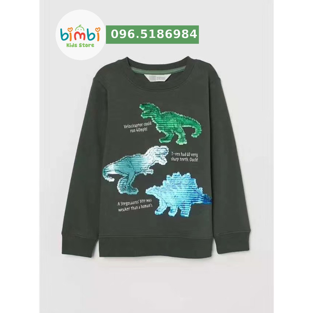 Áo nỉ H&M bé trai dư xịn hình khủng long, size 4/6-6/8t