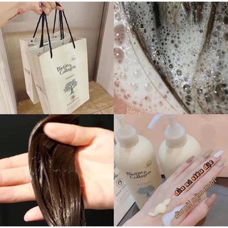 𝐃𝐚̂̀𝐮 𝐠𝐨̣̂𝐢 & 𝐃𝐚̂̀𝐮 𝐱𝐚̉ 𝐏𝐡𝐮̣𝐜 𝐡𝐨̂̀𝐢 𝐭𝐨́𝐜 - 𝐂𝐡𝐨̂́𝐧𝐠 𝐠𝐚̃𝐲 𝐫𝐮̣𝐧𝐠 𝐁𝐢𝐨𝐭𝐢𝐧 𝐂𝐨𝐥𝐥𝐚𝐠𝐞𝐧<𝗛𝗮̀𝗻𝗴 𝗰𝗵𝗶́𝗻𝗵 𝗵𝗮̃𝗻𝗴 𝘁𝗲𝗺 𝗰𝗼̂𝗻𝗴 𝘁𝘆>