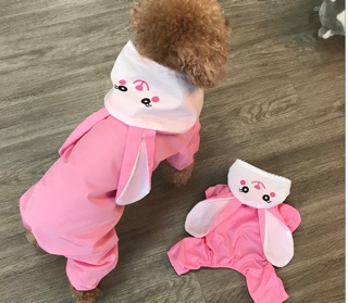 Áo mưa chó mèo