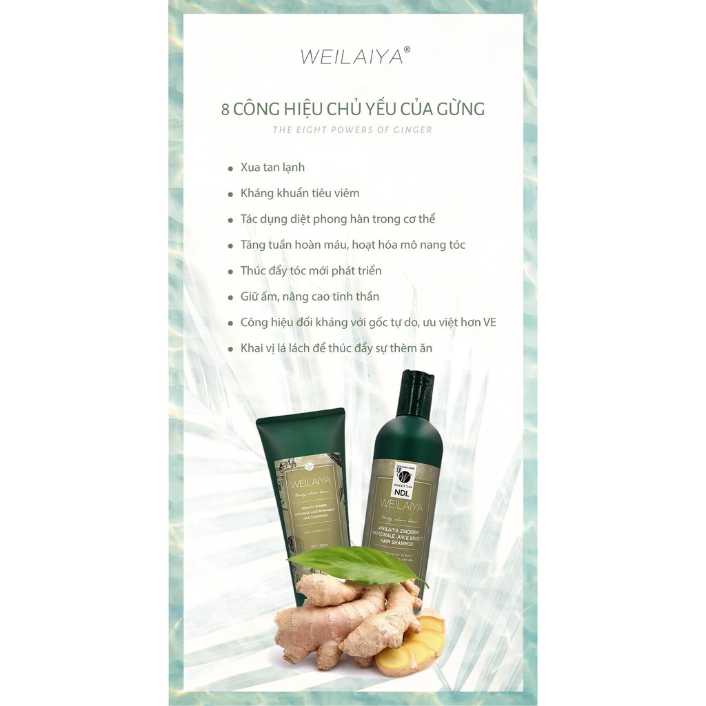 BỘ DẦU GỘI NGỪA RỤNG TÓC - KÍCH MỌC TÓC WEILAIYA CHÍNH HÃNG | BigBuy360 - bigbuy360.vn