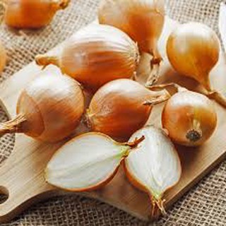 [FREE SHIP 99K]  CỦ HÀNH TÂY ĐÀ LẠT LOẠI 1