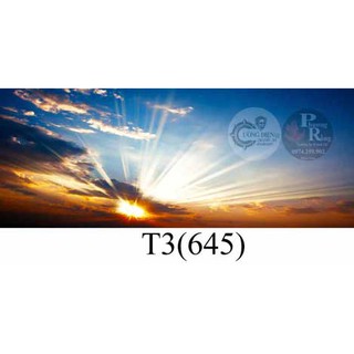 Tranh dán hồ cá 3d , hồ cá rồng , la hán , cá dĩa …