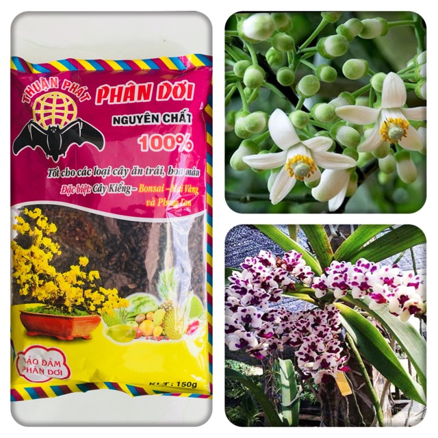 Phân dơi tự nhiên nguyên chất - Dùng cho Cây Phong Lan,  Cây Kiểng và Cây Ăn Trái