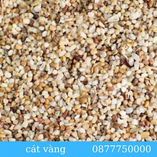 Cát nắng vàng trải nền bể cá - bể thủy sinh - trải nền trang trí hồ cá, bể thủy sinh