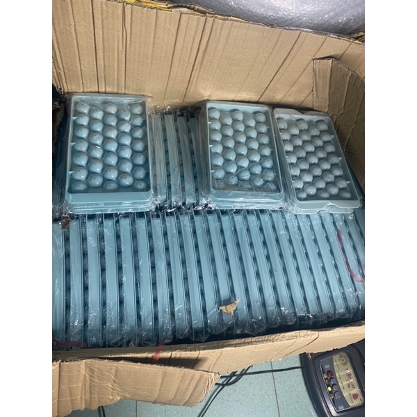 Khay Làm Đá Thạch Bi Nhựa Tròn Làm Hoa Quả Trái Cây/ Khuôn Rau Câu, Viên Tròn 33 Viên Hàng Loại 1