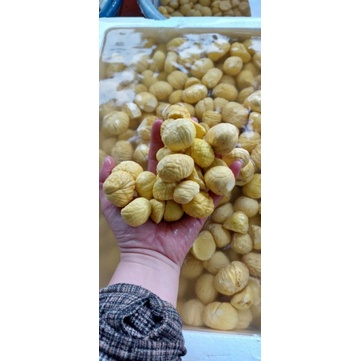 1KG HẠT DẺ TƯƠI BÓC SẴN VỎ ĐỂ NẤU HẦM LÀM SỮA HẠT CHIÊN MẬT ONG SIÊU NGON