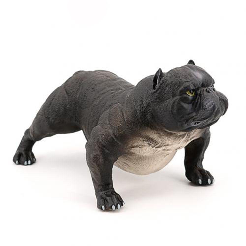 Mô Hình Chim Canine Sống Động Như Thật Trang Trí Sân Vườn