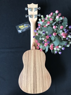 Đàn Ukulele Soprano Gỗ Sọc cao cấp - CB2