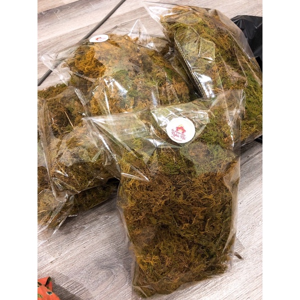 RÊU RỪNG GÓI_DƠN