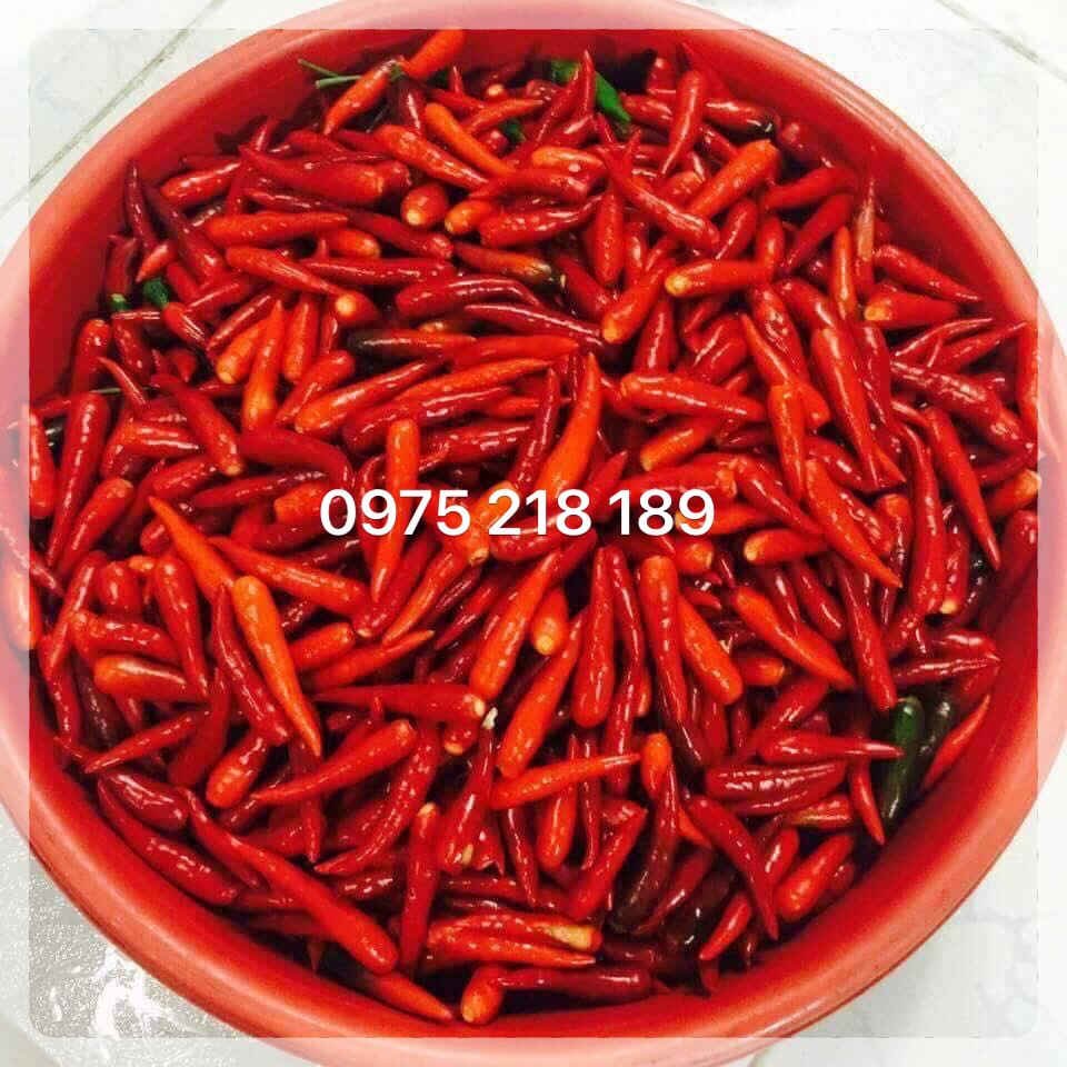 Sỉ khô gà lá chanh 155k hàng loại 1 bao dai, bao ngon [SỈ RẺ NHẤT] | BigBuy360 - bigbuy360.vn