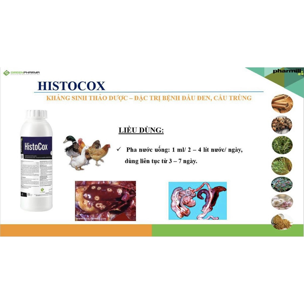 Thảo dược HISTOCOX chai 1 lít điều tri. đầu đen, cầu trùng vật nuôi
